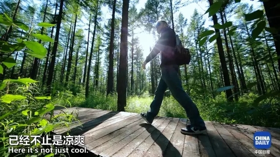 英國小哥到河北塞罕壩避暑，竟意外收獲了一個美麗的故事丨好運中國