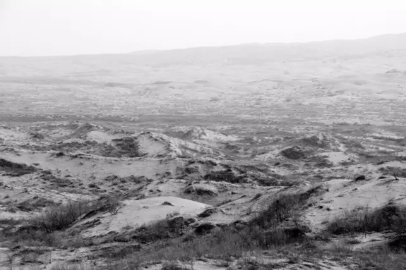 英國小哥到河北塞罕壩避暑，竟意外收獲了一個美麗的故事丨好運中國