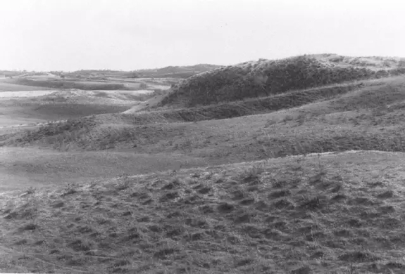 英國小哥到河北塞罕壩避暑，竟意外收獲了一個美麗的故事丨好運中國