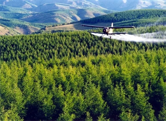 英國小哥到河北塞罕壩避暑，竟意外收獲了一個美麗的故事丨好運中國