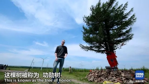 英國小哥到河北塞罕壩避暑，竟意外收獲了一個美麗的故事丨好運中國