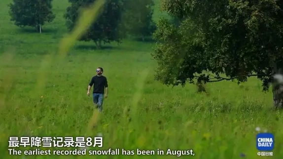 英國小哥到河北塞罕壩避暑，竟意外收獲了一個美麗的故事丨好運中國