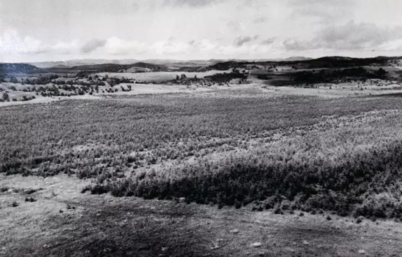 英國小哥到河北塞罕壩避暑，竟意外收獲了一個美麗的故事丨好運中國