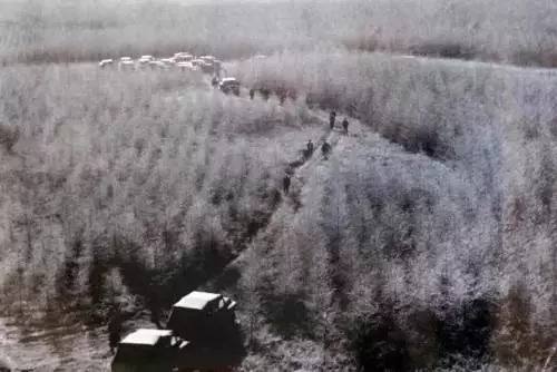 英國小哥到河北塞罕壩避暑，竟意外收獲了一個美麗的故事丨好運中國