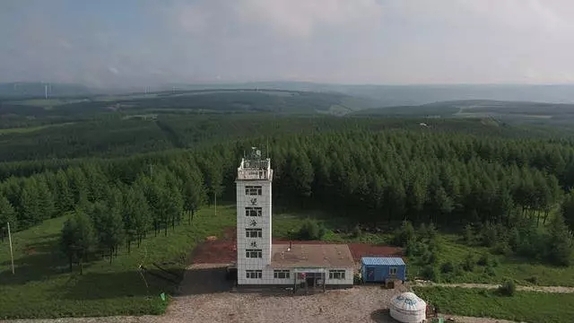 英國小哥到河北塞罕壩避暑，竟意外收獲了一個美麗的故事丨好運中國