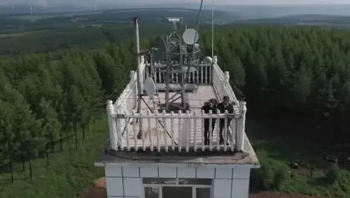 英國小哥到河北塞罕壩避暑，竟意外收獲了一個美麗的故事丨好運中國