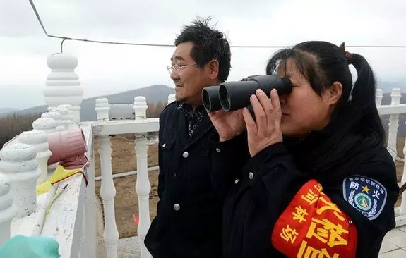 英國小哥到河北塞罕壩避暑，竟意外收獲了一個美麗的故事丨好運中國