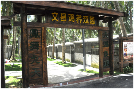 走進文昌，講小鎮故事看滄桑巨變