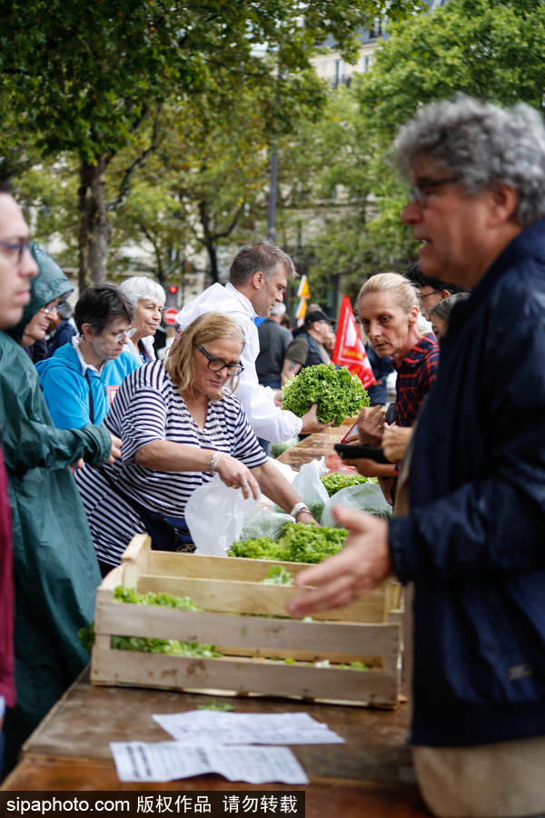 歐洲毒雞蛋丑聞之際 法國“農夫市集”直銷蔬果搶購一空