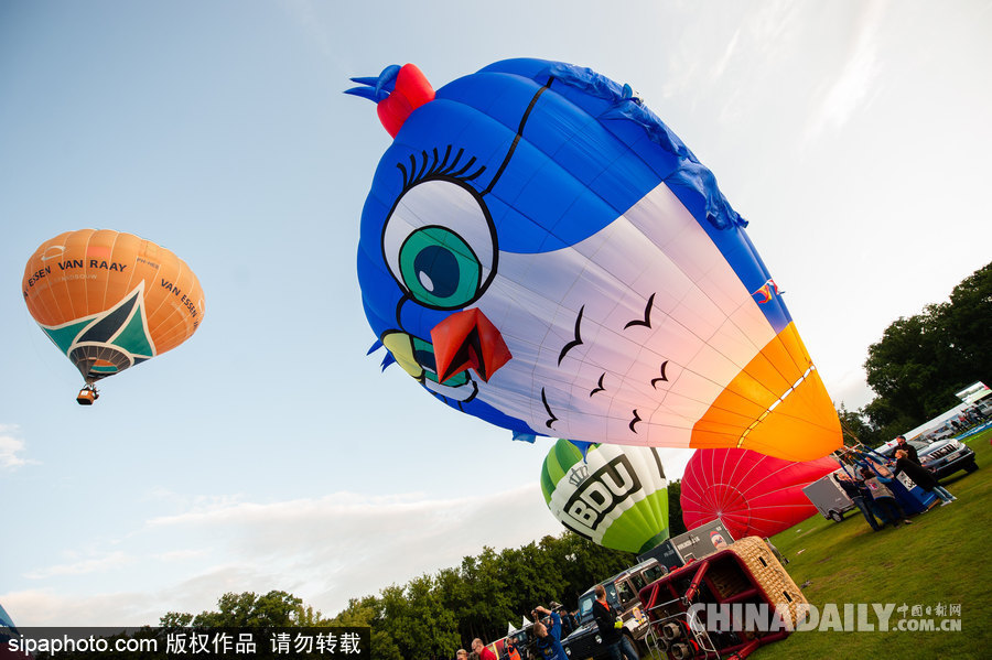 藍天下的飛行浪漫！荷蘭巴訥費爾德熱氣球節開幕