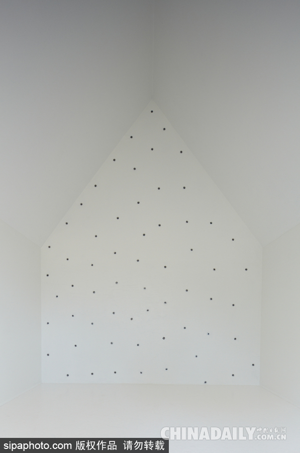 令人驚嘆！日本建筑公司筑起共享樹屋 人類可與鳥兒在屋內(nèi)同住