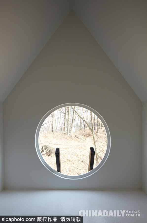 令人驚嘆!日本建筑公司筑起共享樹(shù)屋 人類可與鳥(niǎo)兒在屋內(nèi)同住