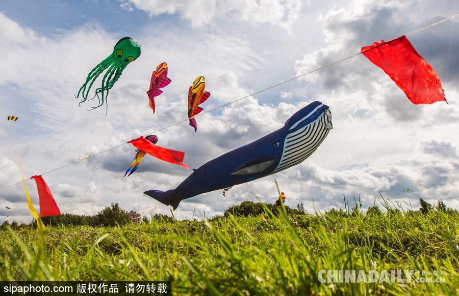 俄羅斯莫斯科舉行風(fēng)箏節(jié) 色彩繽紛歡樂十足