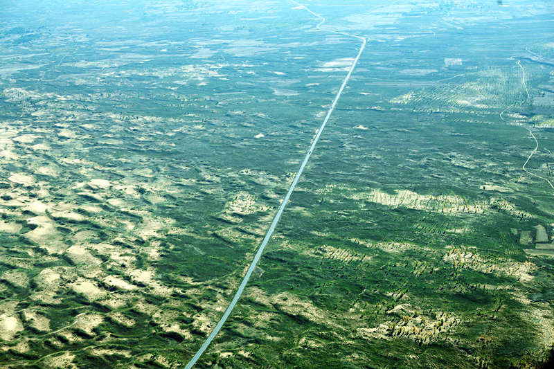 沙漠有綠色就有希望 鄂爾多斯的治沙故事