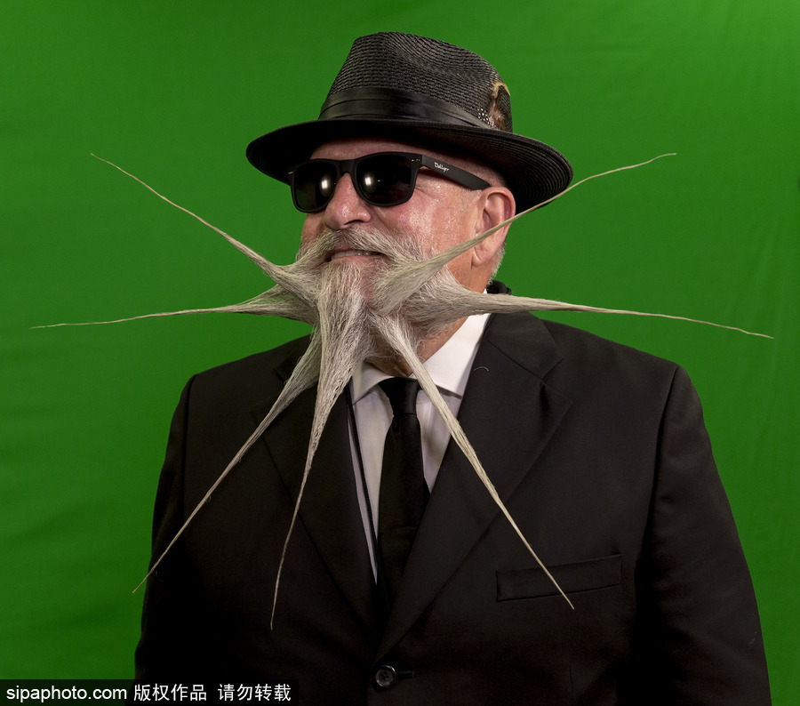 2017年世界留胡子錦標賽：哪款Freestyle你最愛？