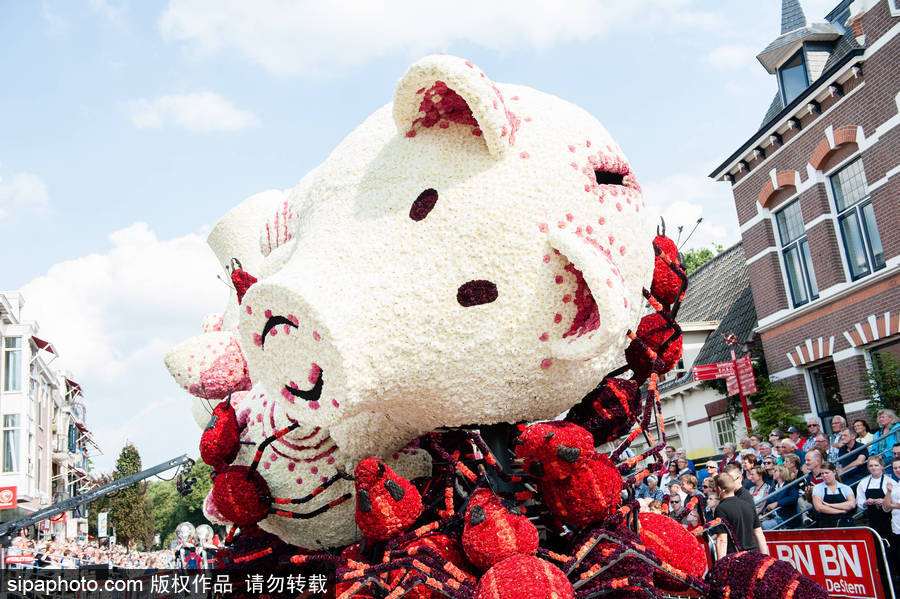 鮮花還能這樣玩 荷蘭鮮花大游行現巨型花卉“怪獸”