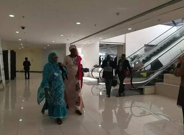 都給您整理好了！關于《聯合國防治荒漠化公約》第13次締約方大會開幕式，這個最全！