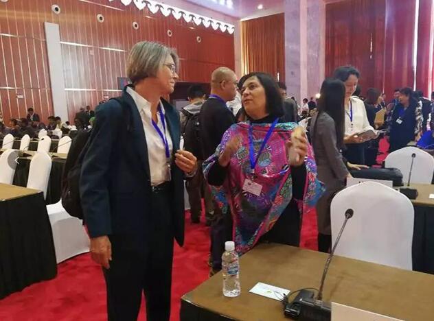 都給您整理好了！關于《聯合國防治荒漠化公約》第13次締約方大會開幕式，這個最全！