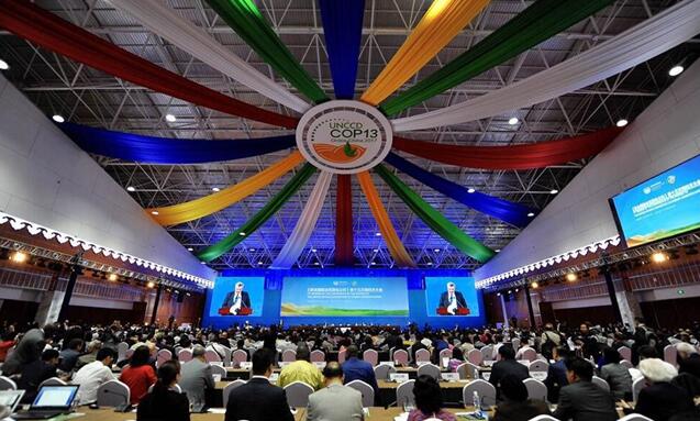 都給您整理好了！關于《聯合國防治荒漠化公約》第13次締約方大會開幕式，這個最全！