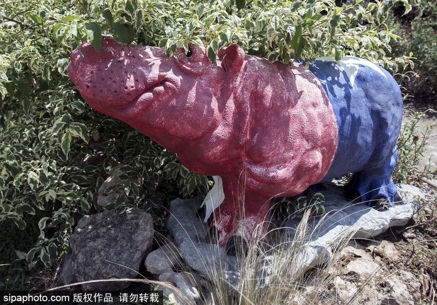 “河馬小鎮”美國胡托 街頭遍布河馬雕塑