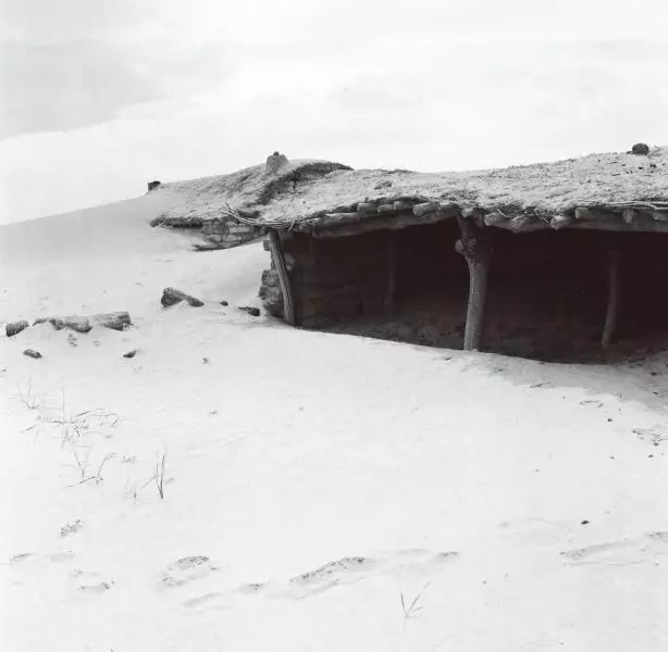 實拍:“風沙之城”鄂爾多斯的治沙傳奇