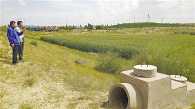 河洛圖小流域水土保持綜合治理區(qū): 綠意滋潤 美富兼收