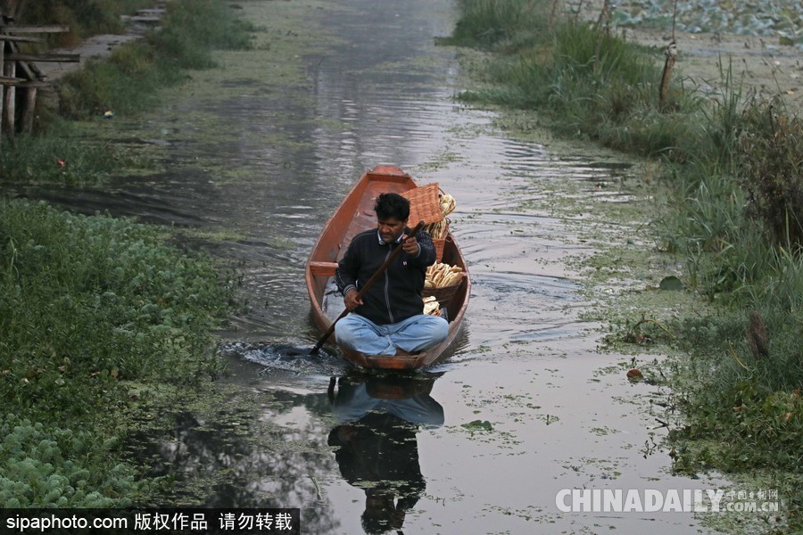 獨木舟上的生活 走近印度水上蔬菜市場