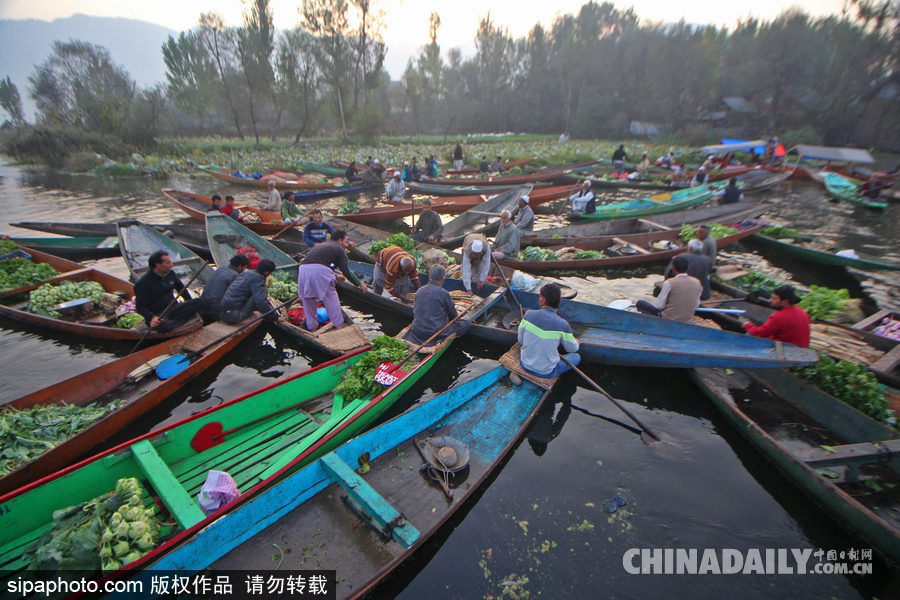 獨木舟上的生活 走近印度水上蔬菜市場