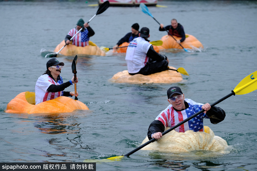 美國巨型南瓜賽舟會 選手劃小船趣味十足