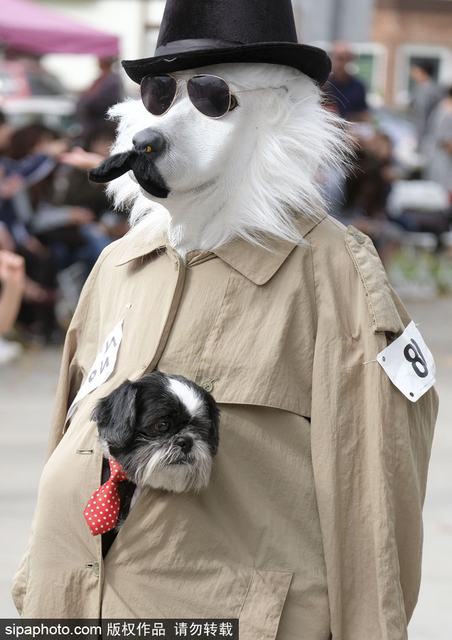 美國(guó)洛杉磯萬(wàn)圣節(jié)狗狗大游行開(kāi)啟 汪星人搞怪變裝逗趣十足