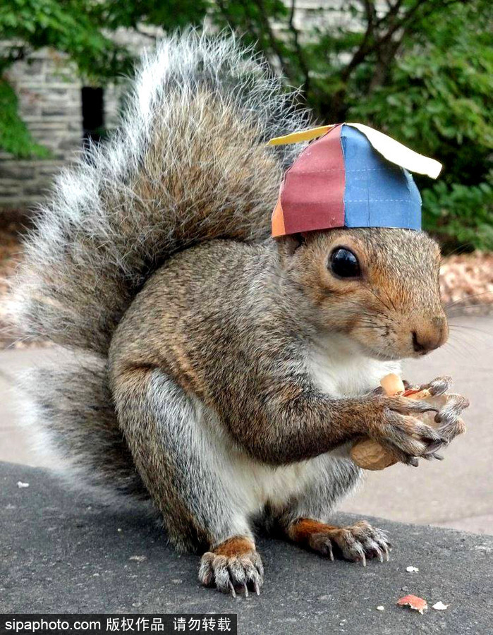 松鼠愛打扮！ 美國社交障礙女生擺拍松鼠一夜爆紅