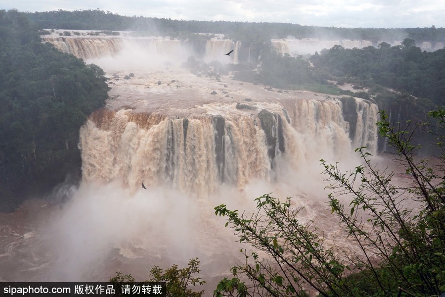 超震撼壯觀！大雨侵襲 伊瓜蘇瀑布流量達往日三倍