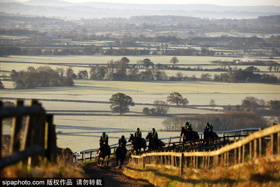 早晨一定要霧蒙蒙的才美 英國格拉斯頓堡晨霧風(fēng)光