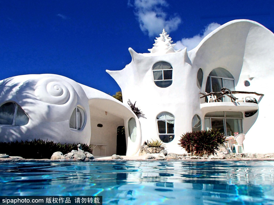 超奢華夢幻“貝殼屋” 獨(dú)特設(shè)計充滿來自海洋的小清新