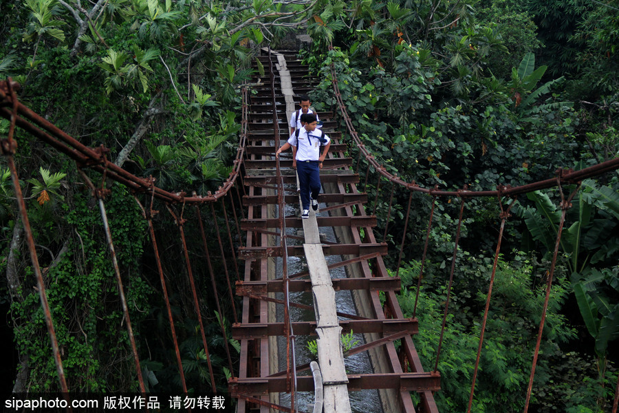 印尼學生驚險上學路 超窄木板吊橋穿叢林
