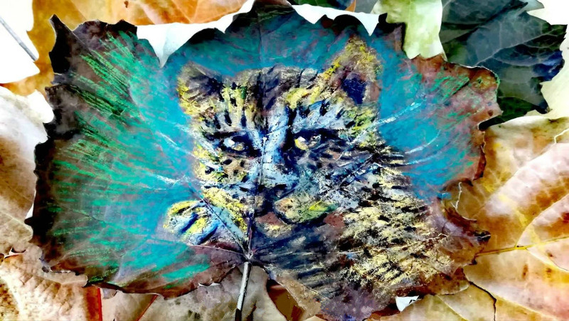 一葉一世界 山西傳媒學(xué)院學(xué)生落葉上作畫