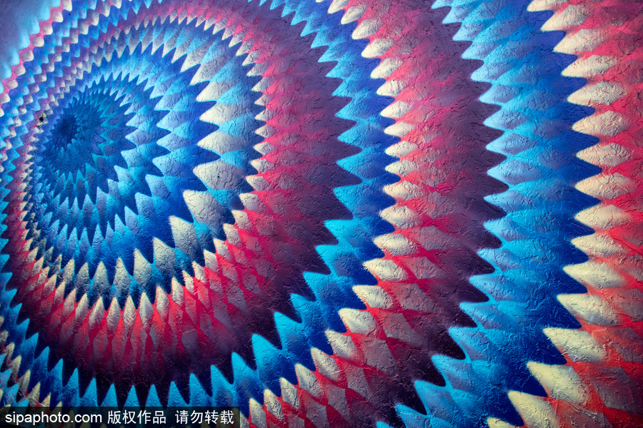 美國萊克沃思街頭繪畫藝術節 各國藝術家齊聚大展身手