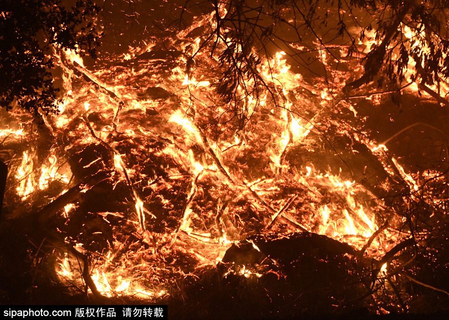 美加州南部突發野火 場面震撼似“火海”