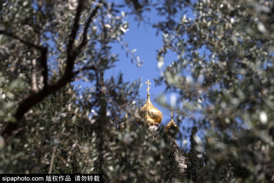 特朗普承認耶路撒冷為以色列首都 盤點“三教圣城”美景