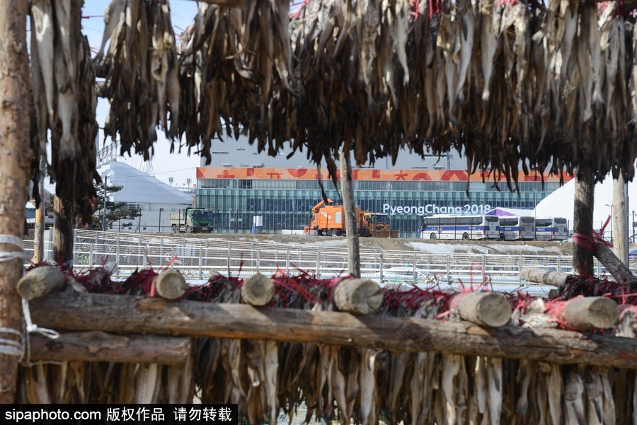 2018平昌冬奧會(huì)：場(chǎng)館外晾曬干鱈魚 場(chǎng)面壯觀