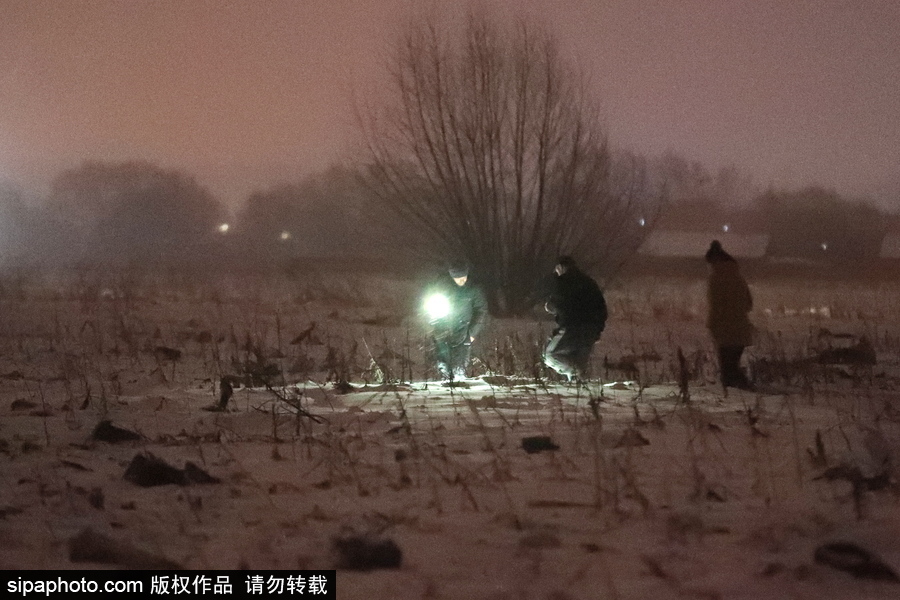 俄羅斯客機(jī)莫斯科州墜毀 71人全部遇難