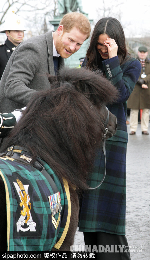 望夫眼！哈里王子與未婚妻十指緊扣到訪愛丁堡 心情大好與小馬打招呼