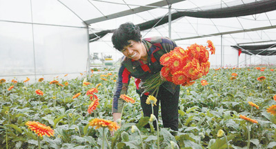 “有她在，我們放心！”——記福建省永安市小陶鎮五一村黨支部書記許光園