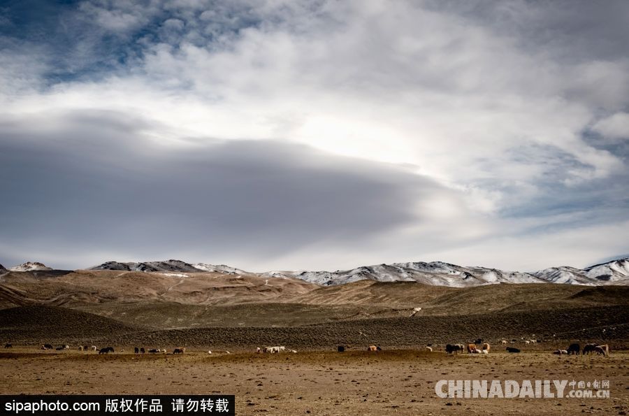 感受美國內(nèi)華達州冬季風光 人煙稀少一望無垠