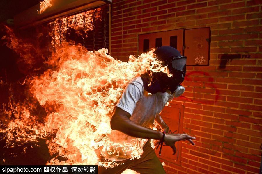 第61屆“荷賽”獲獎作品揭曉 精選作品賞析