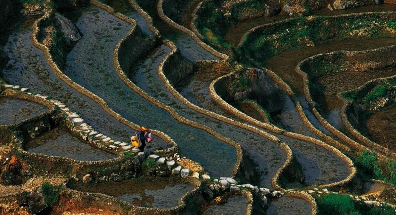 紫鵲界梯田獲“全球重要農業文化遺產”授牌