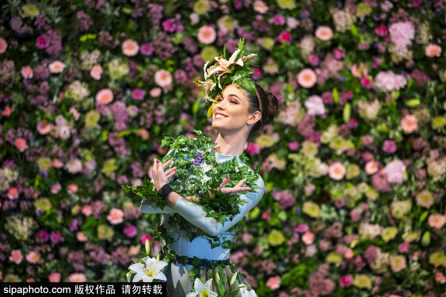 英國哈羅蓋特鮮花展 “花花世界”浪漫繽紛