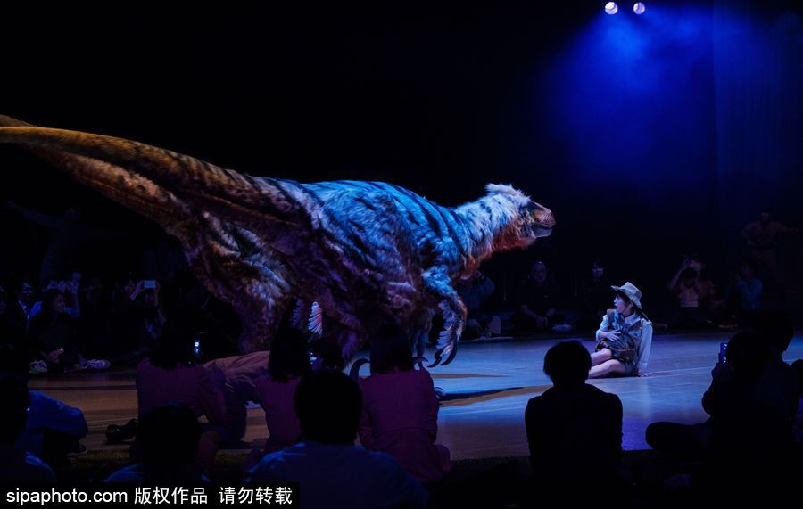 再現(xiàn)侏羅紀風(fēng)云 日本東京“恐龍”現(xiàn)場表演場景震撼