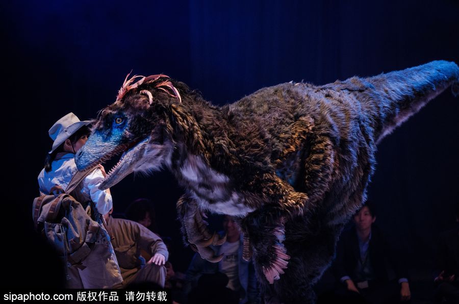 再現侏羅紀風云 日本東京“恐龍”現場表演場景震撼
