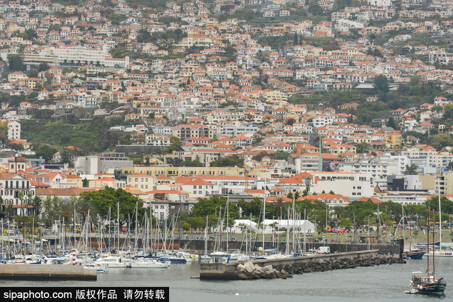走進(jìn)C羅的故鄉(xiāng) 小眾的“海上花園”馬德拉島